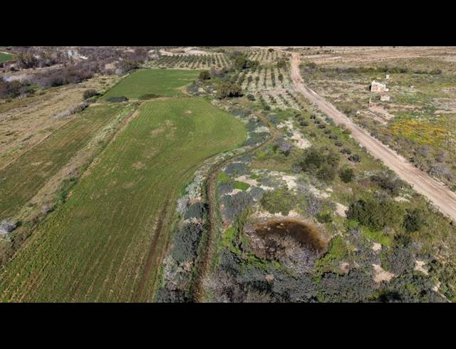FARM FOR SALE IN LADISMITH